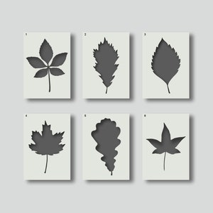 May include: Six different leaf stencils, each on a white card with a number from 1 to 6. The stencils are black and cut out in the shape of leaves.