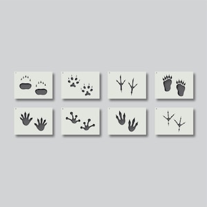 Stencil impronte di animali per la decorazione della cameretta dei bambini e altri progetti artigianali. Disponibili vari stili e dimensioni A6, A5, A4, A3, A2 Gruppo 1