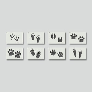 Stencil con impronte di animali per l&#39;arredamento della camera dei bambini e altri progetti artigianali. Varie opzioni di stile e dimensioni disponibili A6, A5, A4, A3, A2, Gruppo 3