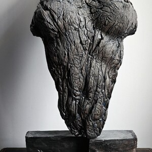 Puede incluir: Una escultura de madera oscura y texturizada con una forma orgánica y rugosa. La escultura está montada sobre una base rectangular de color oscuro. La pieza tiene un aspecto natural y envejecido, con vetas y detalles intrincados visibles.