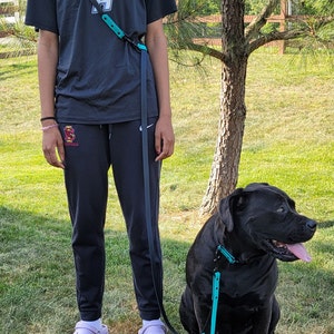 Hands Free BioThane Dog Leash with Built in Traffic Handle