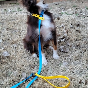 3/4" Biothane Slip Lead, Adjustable Dog Leash, Adjustable Dog Collar, Heavy Duty, Waterproof, Mltiple Sizes, Custom Colors, Two Tone