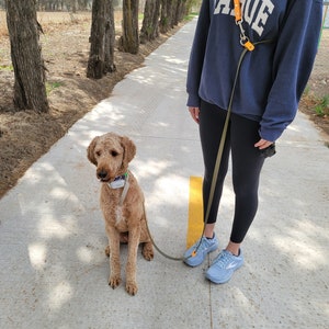 Hands Free Biothane Dog Leash Multicolor