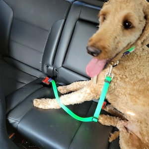 Two Tone Adjustable Biothane Dog Seatbelt Tether