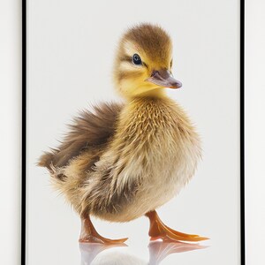 Duck, Baby, Nature, Bird, Nursery, Animal Art, Digital Print, Printable Animal, Posters, Prints, Wall Art, Digital Download, Home Decor