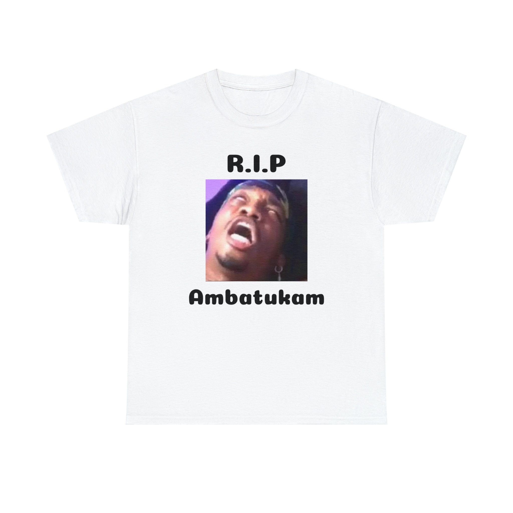 R.I.P Ambatukam Dreamybull funny meme Essential T-Shirt for Sale by  NCMDesign