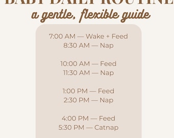 Registro de la rutina diaria del bebé / Horario para mamás primerizas, registro de tomas y siestas (plantilla de Canva)