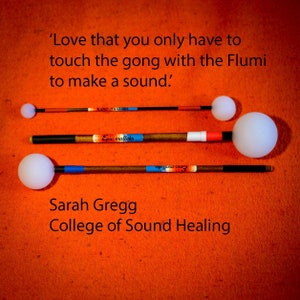 Flumi Set (4 silicone flumis)