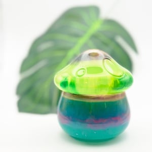 Mushroom storage jar