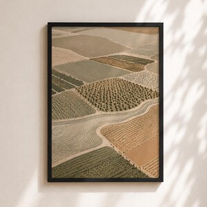 Pode incluir: Uma impress&atilde;o de arte emoldurada apresentando uma vista a&eacute;rea de campos agr&iacute;colas em v&aacute;rios tons de verde, bege e marrom. A paisagem &eacute; dividida em se&ccedil;&otilde;es geom&eacute;tricas com fileiras de planta&ccedil;&otilde;es, pomares e um caminho sinuoso.