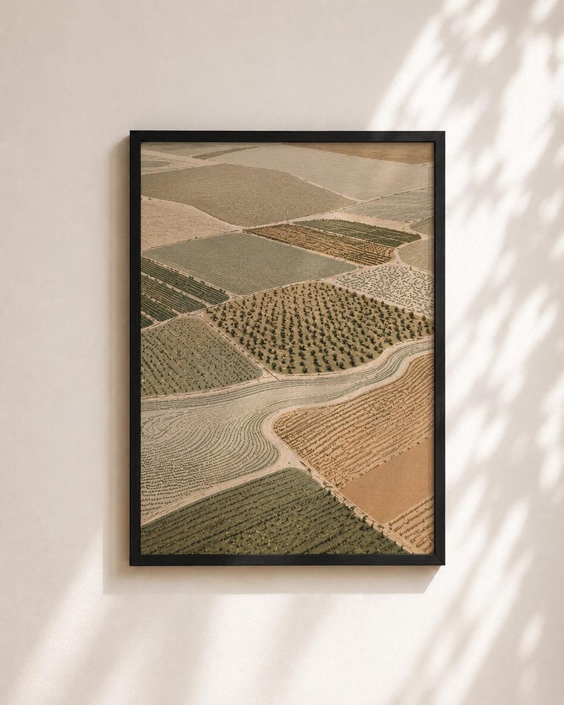 Pode incluir: Uma impress&atilde;o de arte emoldurada apresentando uma vista a&eacute;rea de campos agr&iacute;colas em v&aacute;rios tons de verde, bege e marrom. A paisagem &eacute; dividida em se&ccedil;&otilde;es geom&eacute;tricas com fileiras de planta&ccedil;&otilde;es, pomares e um caminho sinuoso.