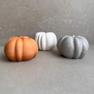 Small Concrete Pumpkin, Cement Fall Decor, Minimalist Thanksgiving Table Accent, Halloween Ornament, Stone Pumpkin Statue, Autumn Home Decor image 1