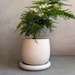 see more listings in the Planters and Pots section