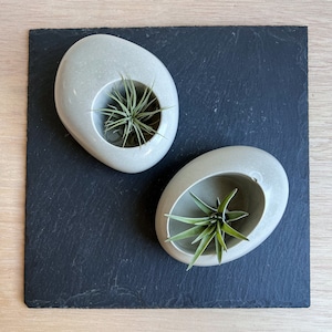 Concrete Minimalist Planter, Slanted Pot, Table Centerpiece, Asymmetrical Pot, Succulent Planter, Decorative Pot, Modern Pot, Nordic, Pebble image 5