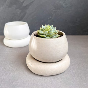 Small Concrete Planter with Drainage, Cute Plant Pot, Bubble Planter, Succulent Planter, Decorative Pot, Modern Pot, Nordic, Chubby Pot image 1