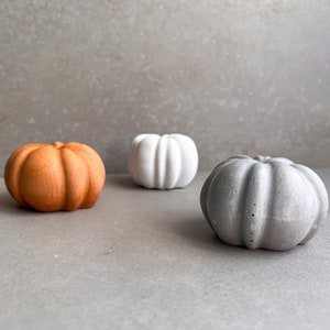 Small Concrete Pumpkin, Cement Fall Decor, Minimalist Thanksgiving Table Accent, Halloween Ornament, Stone Pumpkin Statue, Autumn Home Decor image 2