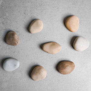K&ouml;nnte beinhalten: Draufsicht auf neun glatte, ovale Steine in verschiedenen Beige-, Braun- und Wei&szlig;t&ouml;nen. Die Steine sind auf einer hellgrauen Oberfl&auml;che angeordnet und erzeugen eine nat&uuml;rliche, minimalistische &Auml;sthetik. Die Steine variieren in Gr&ouml;&szlig;e und Farbe.