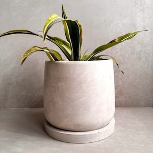 Beton-Blumentopf mit Untersetzer, moderner Pflanzentopf, Stein-Blumentopf, dekorativer Zementtopf, Minimalistischer Topf mit Drainage, nordischer Topf, runder 18-cm-Topf