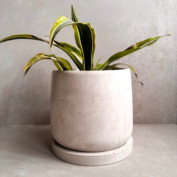 Concrete Planter with Saucer, Modern Plant Pot, Stone Planter, Decorative Cement Pot, Minimalist Pot with Drainage, Nordic Pot, 7” Round Pot