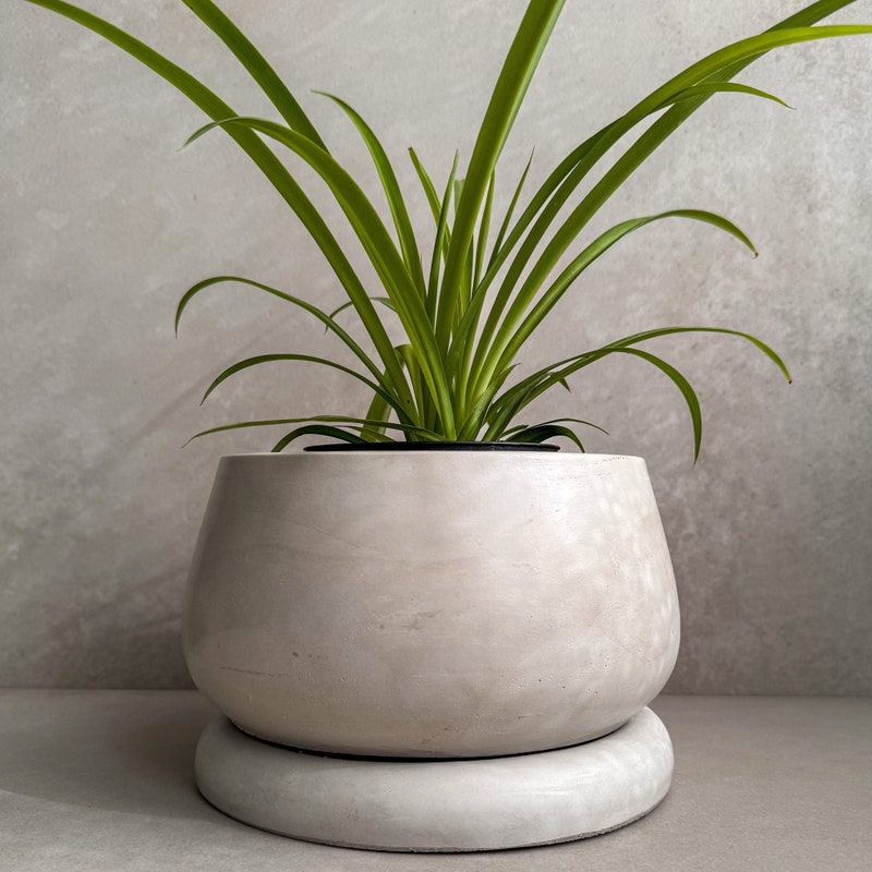 Large Japandi Planter - Etsy