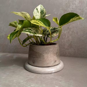 Concrete Planter with Saucer, Modern Plant Pot, Small Round Planter, Houseplant Decor, Minimalist Pot with Saucer, Nordic Pot, Chunky Pot