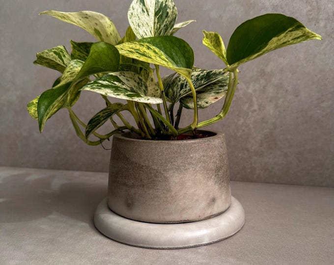 Concrete Planter with Saucer, Modern Plant Pot, Small Round Planter, Houseplant Decor, Minimalist Pot with Saucer, Nordic Pot, Chunky Pot