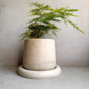 Maceta de hormigón con platillo, Maceta moderna, Maceta de burbujas, Maceta decorativa de cemento, Maceta minimalista con drenaje, Maceta nórdica, Maceta robusta