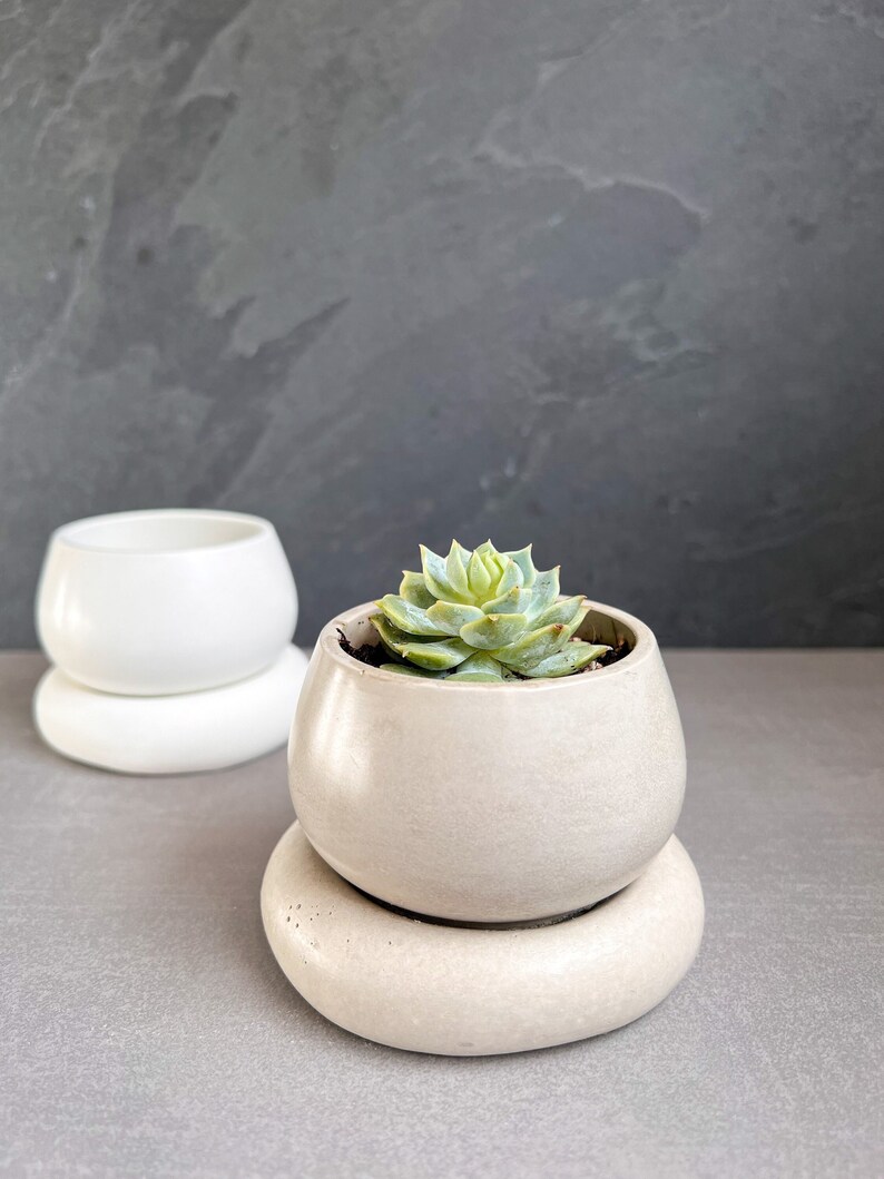 Small Concrete Planter with Drainage, Cute Plant Pot, Bubble Planter, Succulent Planter, Decorative Pot, Modern Pot, Nordic, Chubby Pot image 1