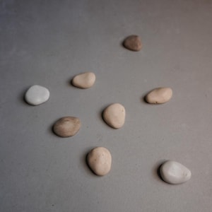 K&ouml;nnte beinhalten: Eine Auswahl an glatten, abgerundeten Steinen in verschiedenen Beige- und Braunt&ouml;nen, mit einem wei&szlig;en Stein. Die Steine sind auf einer grauen Oberfl&auml;che angeordnet und erzeugen eine nat&uuml;rliche, minimalistische &Auml;sthetik. Ideal f&uuml;r Heimdekoration oder Bastelprojekte.