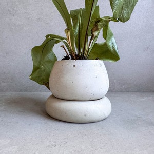 Small Concrete Planter with Drainage, Cute Plant Pot, Bubble Planter, Succulent Planter, Decorative Pot, Modern Pot, Nordic, Chubby Pot image 10