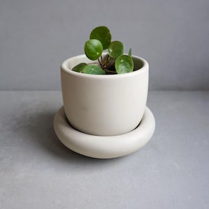 May include: A small, round, off-white ceramic planter with a matching saucer. The planter holds a small green plant with round leaves. The design is minimalist and modern, suitable for indoor decor.