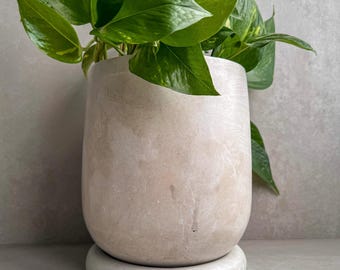 May include: A light beige concrete planter with a round base and a leafy green plant growing inside.