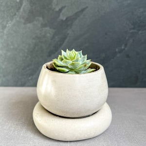 Small Concrete Planter with Drainage, Cute Plant Pot, Bubble Planter, Succulent Planter, Decorative Pot, Modern Pot, Nordic, Chubby Pot image 5