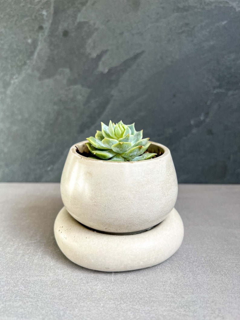 Small Concrete Planter with Drainage, Cute Plant Pot, Bubble Planter, Succulent Planter, Decorative Pot, Modern Pot, Nordic, Chubby Pot image 5