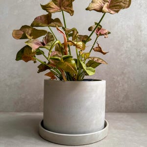 Maceta de hormigón con drenaje, maceta sencilla, maceta redonda, maceta decorativa de cemento, minimalista, nórdica, maceta mediana, decoración japonesa