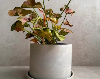 CONCRETE PLANTER with Drainage, Simple Plant Pot, Round Planter, Decorative Cement Pot, Minimalist, Nordic, Medium Planter, Japandi Decor