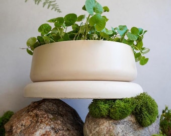 Concrete Planter with Bulky Saucer | Minimalist Pot with Drainage, Shallow Bonsai Planter with Tray, Neutral Home Decor, Nature Inspired