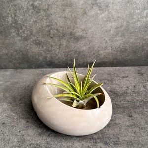 Concrete Minimalist Planter, Slanted Pot, Table Centerpiece, Asymmetrical Pot, Succulent Planter, Decorative Pot, Modern Pot, Nordic, Pebble image 2