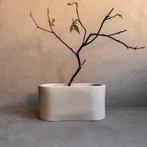May include: A light gray oval ceramic planter with a dried branch with green leaves inside.