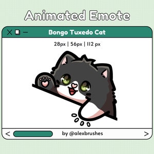 Cute tuxedo bongo cat animated emote, black and white cat emote, twitch discord emotes