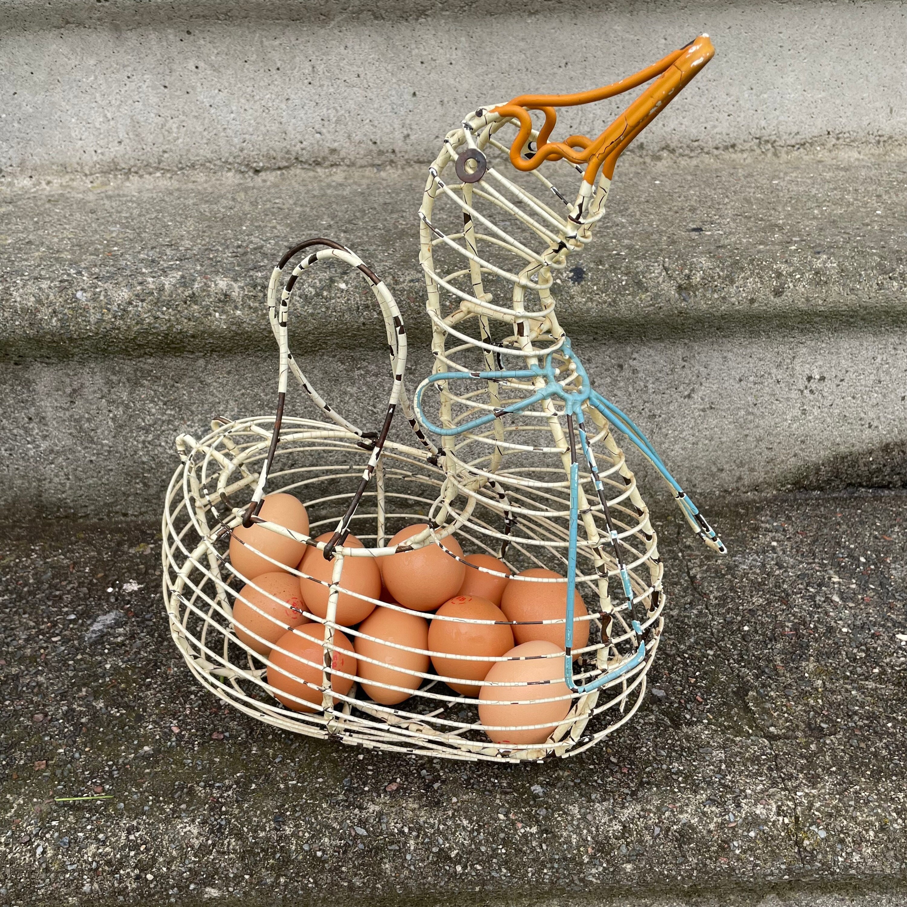 Henlay Duck Egg Cartons Holds Half Dozen Jumbo Eggs From Your
