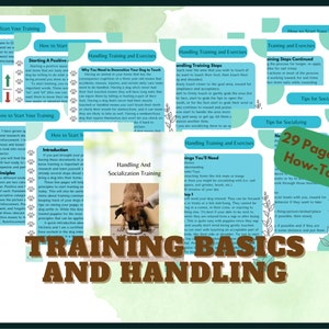 Puppy Training and Handling E-Book | Puppy Socialization Tips | Puppy Training E-Book | Basic Training How To's | Dog Training Booklet