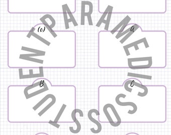 May include: A printable worksheet with the title "Primary Survey" and six blank boxes labeled with letters A through F. The boxes are arranged in a circle with the letters "STUDENT PARAMETERS" and "MEDICATIONS" written around the circle.