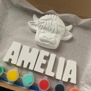 May include: A white ceramic Highland cow head and the name "AMELIA" in white block letters. Paint pots with various colors and a paintbrush are included, suggesting a DIY painting kit.