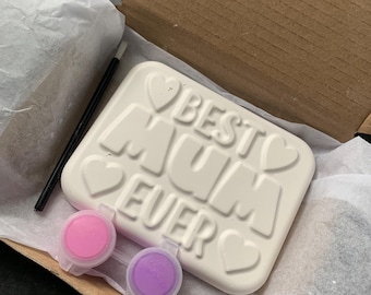 Dipingi la tua targa "La migliore mamma di sempre", regalo per la festa della mamma, regalo sentimentale, attività creativa per bambini, kit per dipingere su gesso, set fai da te