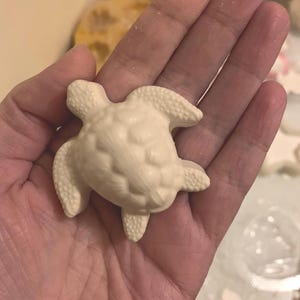 May include: A small, off-white turtle figurine with textured details. The turtle is held in an open hand, showcasing its three-dimensional form and intricate design. The figurine's shell and limbs are clearly defined.