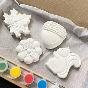 Peut inclure: Un ensemble de quatre ornements en céramique blanche en forme de feuille, de gland, de couronne et d'écureuil. Les ornements sont prêts à être peints avec l'ensemble de six pots de peinture inclus en vert, jaune, rouge, bleu, blanc et noir.