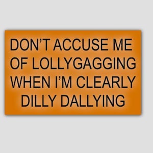 May include: Orange background with black text that reads "DON'T ACCUSE ME OF LOLLYGAGGING WHEN I'M CLEARLY DILLY DALLYING"