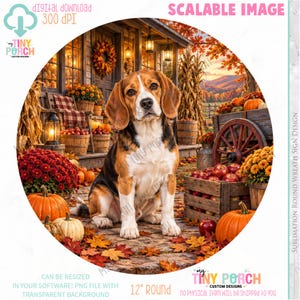 May include: A digital graphic design featuring a beagle sitting on a stone path surrounded by autumn decor, including pumpkins, red apples in wooden crates, a wagon wheel, and fall foliage. The text reads SCALABLE IMAGE and 12 INCH ROUND.