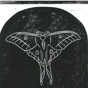 Luna Moth Hand Pressed Linoleum Print